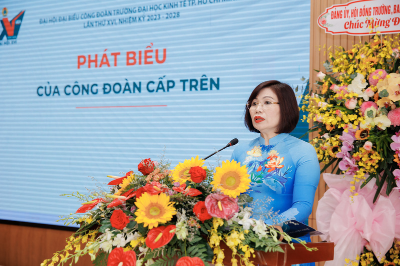 cá cược thể thao hul city